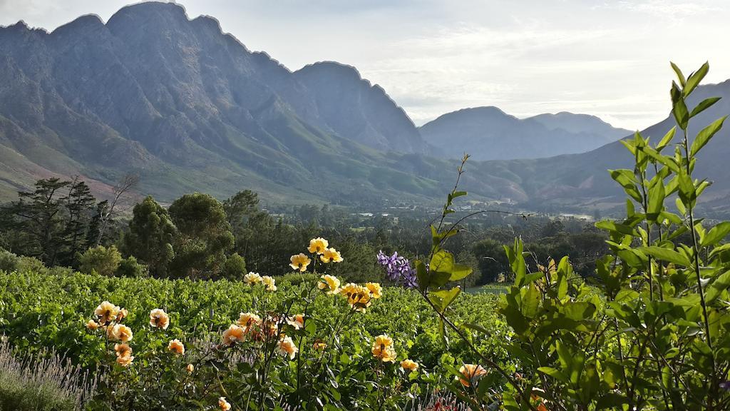 Blueberry Hill Cottages Franschhoek Exterior photo