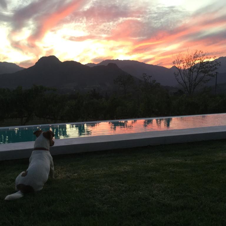 Blueberry Hill Cottages Franschhoek Exterior photo